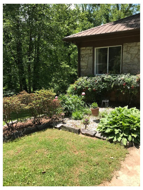 What to do with the front yard in Asheville North Carolina