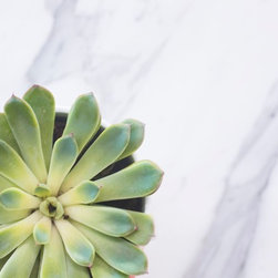 Marble inventory - Products