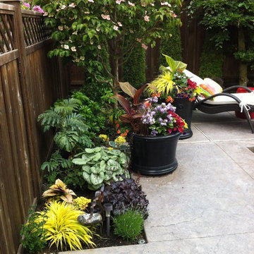 Poolside Patio and Containers