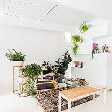 Indoor Plants
