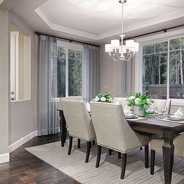 Seth model home in Washington
