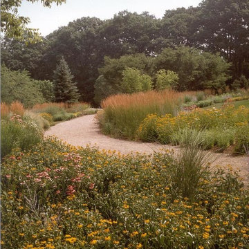 Butterfly Meadows