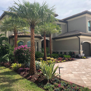 Landscaping with Tropical Color-Palms and Bromeliads