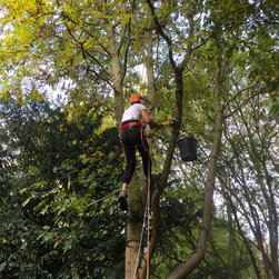 Installing a Treehouse Life Nest Swing project - Products