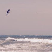 Francis Roy's photo