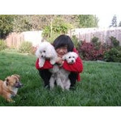 Lydia Li's photo
