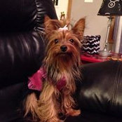 Barbara Hall's photo
