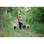 Erica Rahka's photo
