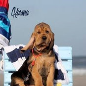 Mark Brottman's photo
