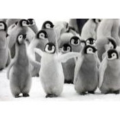 James Fletcher's photo