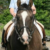 Julie Simpson's photo