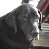 Barb McKinney Graber's photo