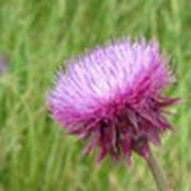 Colby Boers's photo