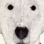 Foto von Donnach Donohoe