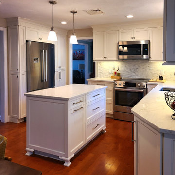 Dragonfly Blue Kitchen