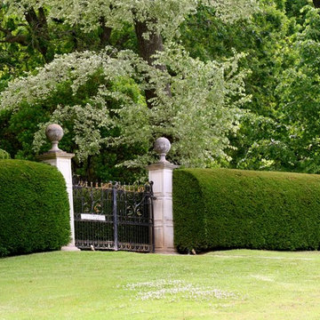 Hedges