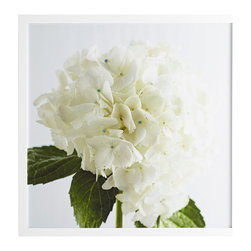 ANNABELLE HYDRANGEA WALL ART &ndash; PETALS - Prints And Posters