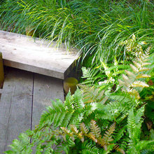 garden seating