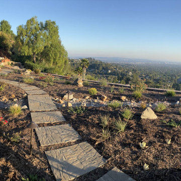 Xeriscape & Native Garden with Waterfall