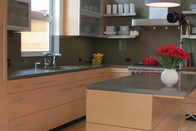 Kitchen - modern kitchen idea in San Francisco