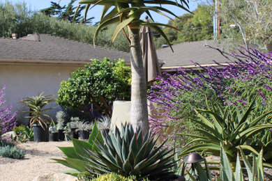 This is an example of a mid-sized mediterranean drought-tolerant and full sun front yard garden path in Santa Barbara.