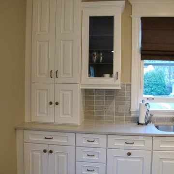 Wilmette Kitchen Update!