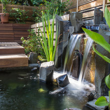 Pond