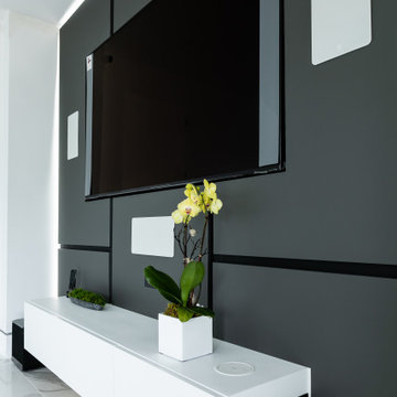 Simple and Sophisticated TV Wall Panel