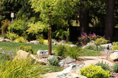 Photo of a traditional landscaping in San Francisco.