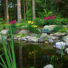 Bolton pond