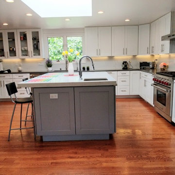 Cupertino Home Renovation