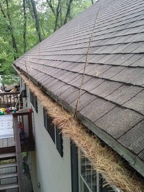 Pine Needles Take Over Gutters Before & After