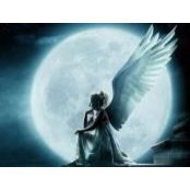 Andrea Ribeiro's photo