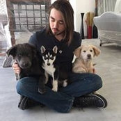 Josu Om's photo