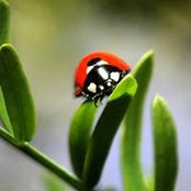 Renata Petak's photo