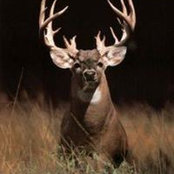 Bryan Renyers billede