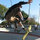 Scott DeVore
