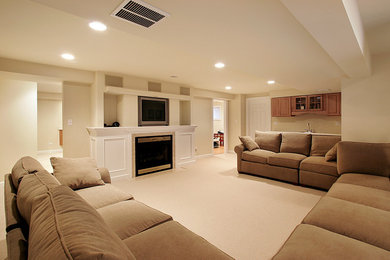 Inspiration for a basement remodel in Chicago