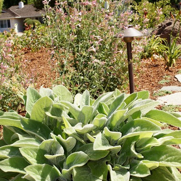 Sustainable Beauty