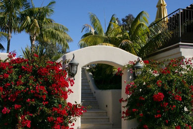 Photo of a tropical landscaping in San Diego.