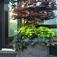 Planters