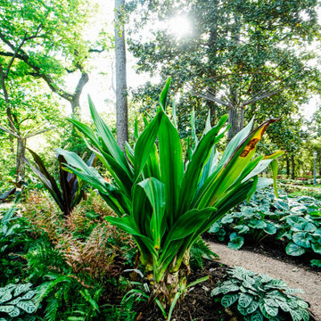 Rienzi Mansion - MFAH - Landscape Design & Installation