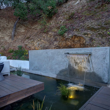 Contemporary Koi Pond