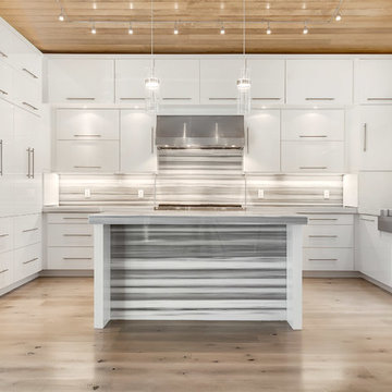Contemporary Kitchen