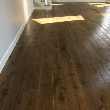 Laguna Niguel Project