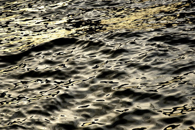 Grey Gold & Black Leopard Seas No 1