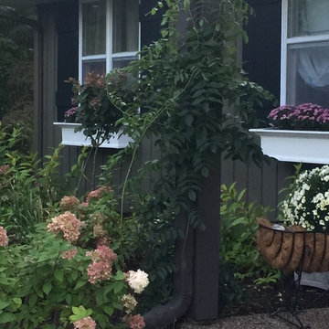 Renovated Rambler