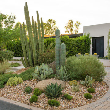 Residential Contemporary - Paradise Valley - 2013