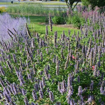 Pollinator & Vegetable Garden in Towson, MD