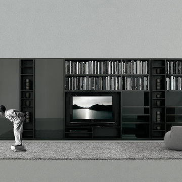 Wall Systems & Book Cases